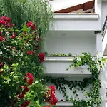 Guest house Barbov Obzor