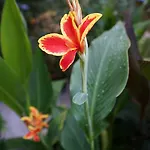 Barbov Guest house Obzor