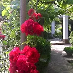 Barbov Penzion 2*