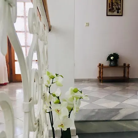 Barbov 2* Obzor