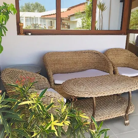 Guest house Barbov Obzor