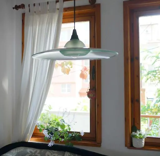 Guest house Barbov 2*