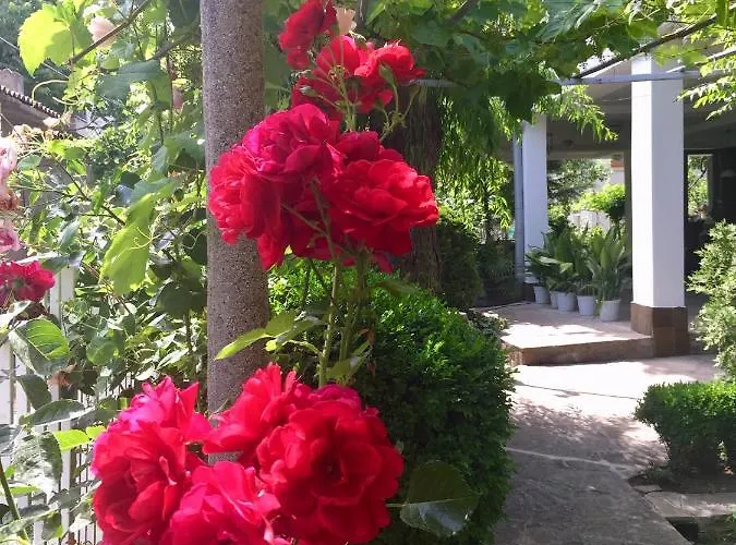 Barbov Guest house 2*