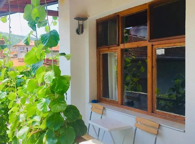 Barbov Guest house Obzor